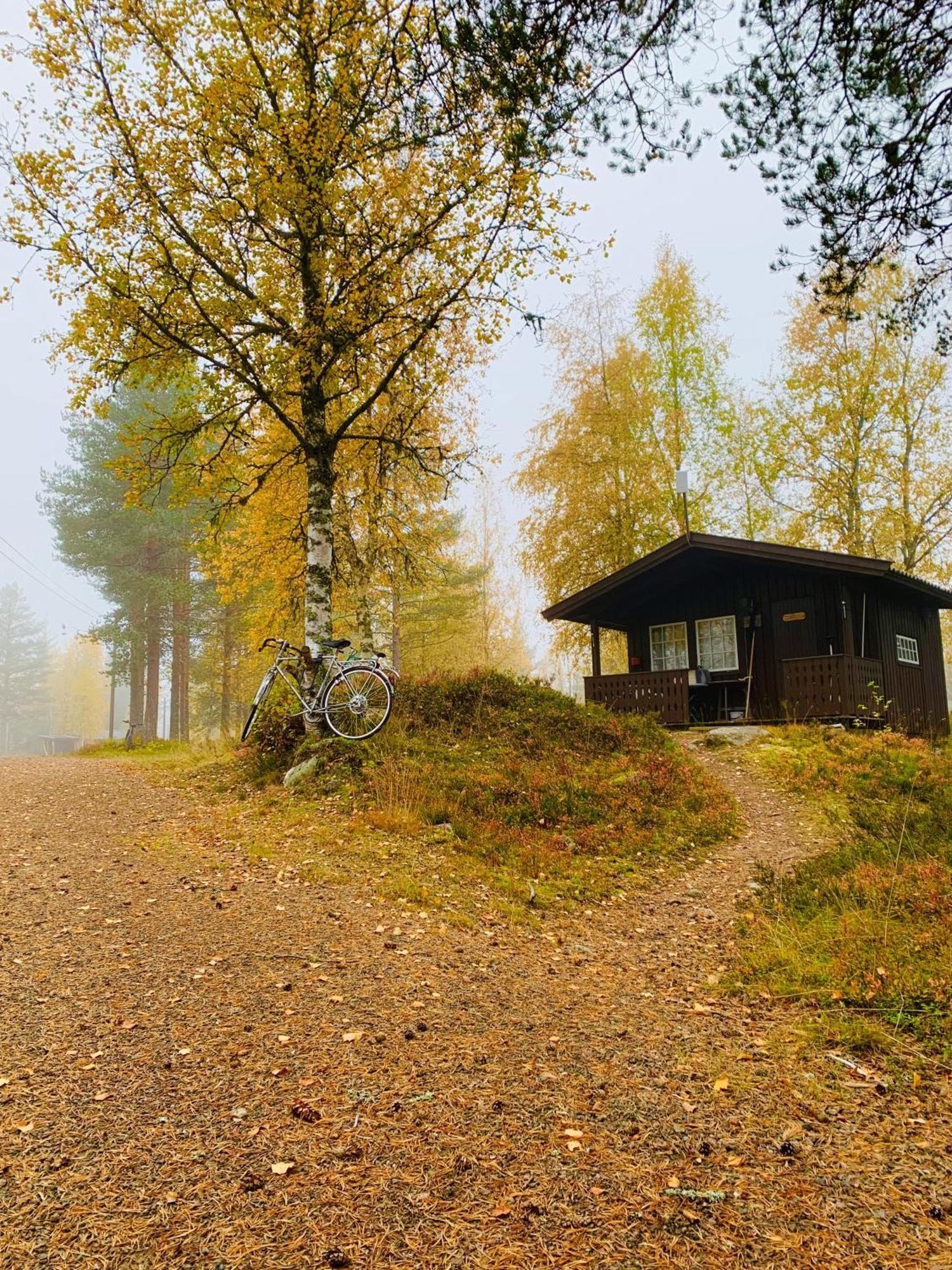 Saeterasen Hytter & Camping Trysil Εξωτερικό φωτογραφία