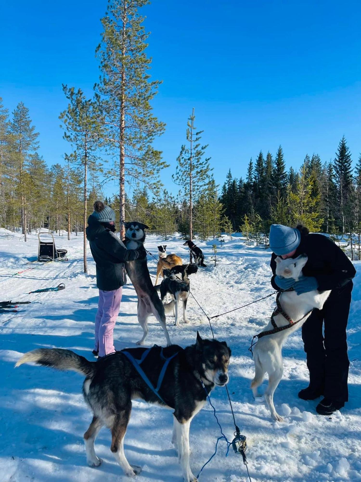 Saeterasen Hytter & Camping Trysil Εξωτερικό φωτογραφία