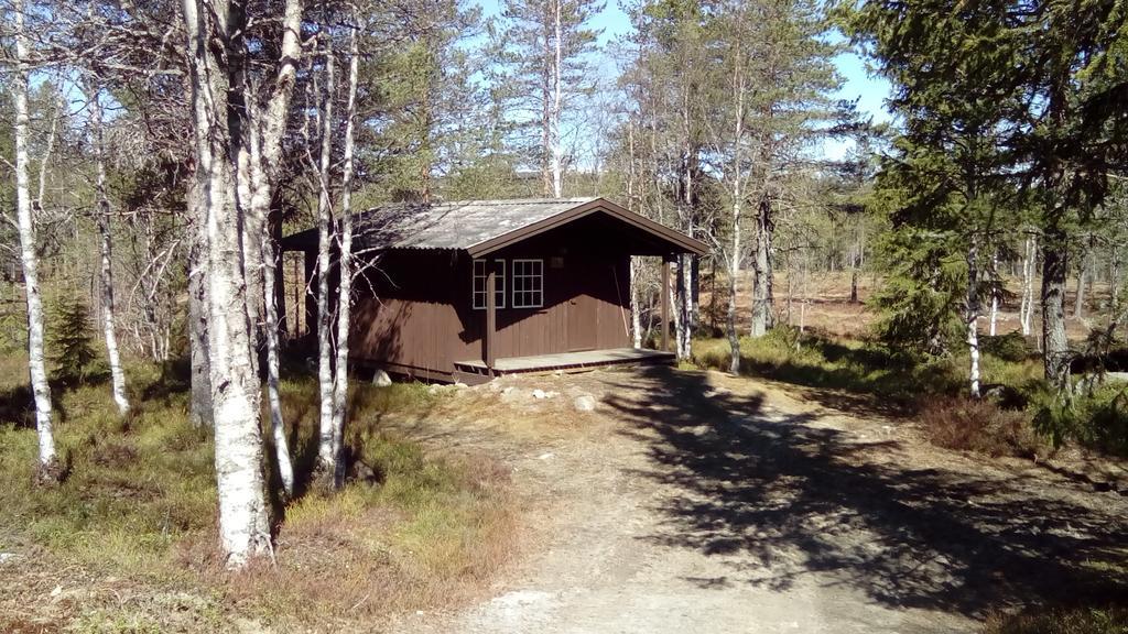 Saeterasen Hytter & Camping Trysil Εξωτερικό φωτογραφία