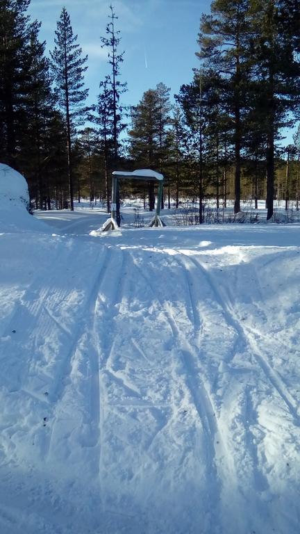 Saeterasen Hytter & Camping Trysil Εξωτερικό φωτογραφία