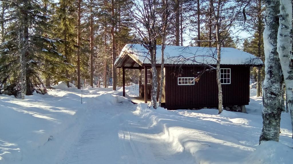 Saeterasen Hytter & Camping Trysil Εξωτερικό φωτογραφία