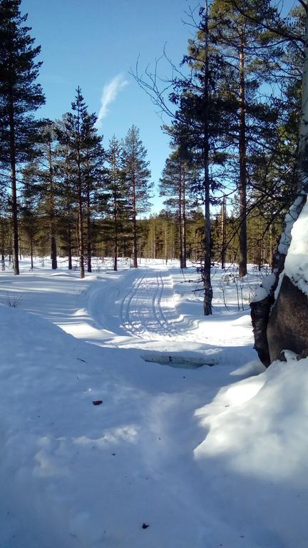 Saeterasen Hytter & Camping Trysil Εξωτερικό φωτογραφία