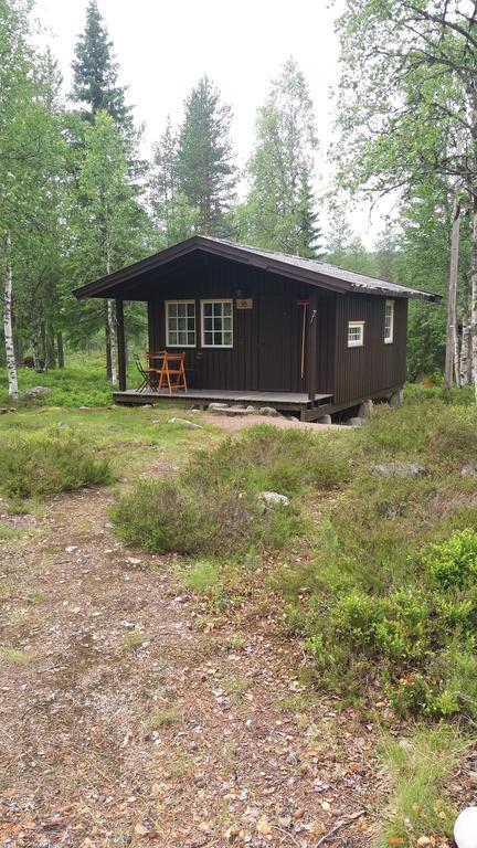Saeterasen Hytter & Camping Trysil Εξωτερικό φωτογραφία