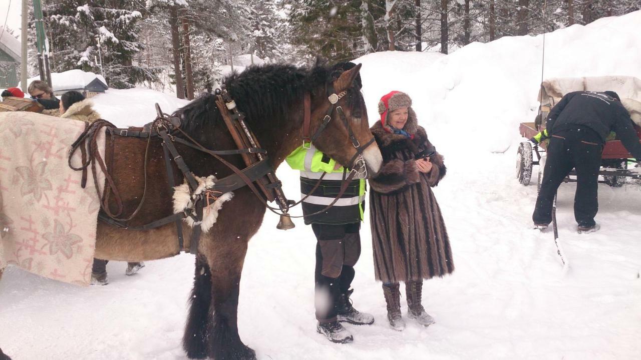 Saeterasen Hytter & Camping Trysil Εξωτερικό φωτογραφία